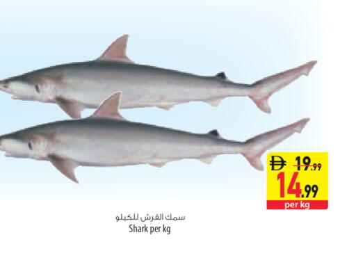 available at السفير ماركت in الإمارات العربية المتحدة , الامارات - ٱلْعَيْن‎