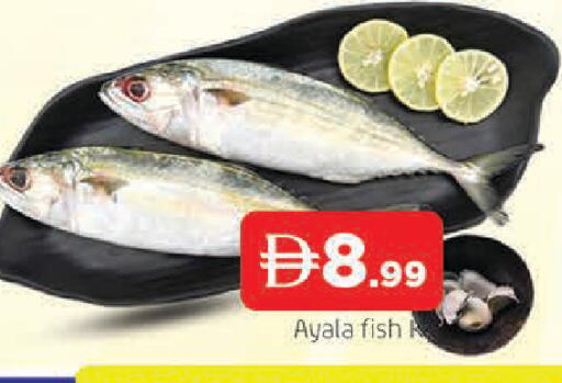 available at AL MADINA in UAE - Sharjah / Ajman
