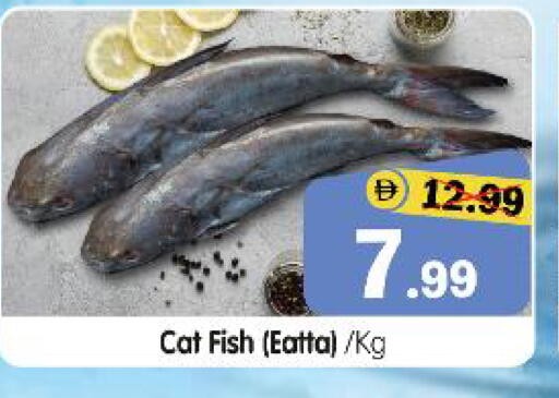 available at هايبر ماركت المدينة in الإمارات العربية المتحدة , الامارات - أبو ظبي