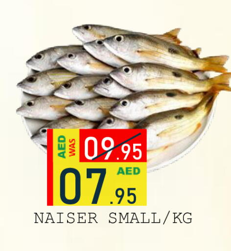 available at رويال جلف هايبرماركت in الإمارات العربية المتحدة , الامارات - أبو ظبي