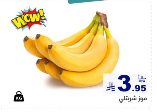 available at أسواق رامز in مملكة العربية السعودية, السعودية, سعودية - المنطقة الشرقية