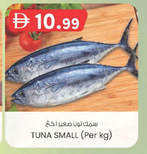 available at ك. الم. للتجارة in الإمارات العربية المتحدة , الامارات - أبو ظبي