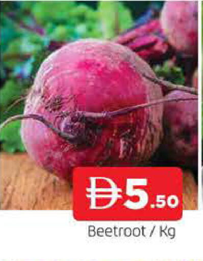 Beetroot available at المدينة in الإمارات العربية المتحدة , الامارات - الشارقة / عجمان