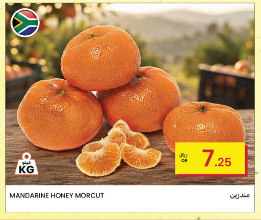 available at البلدي اليوم in قطر - الوكرة