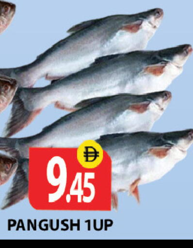 available at زين مارت سوبرماركت in الإمارات العربية المتحدة , الامارات - رَأْس ٱلْخَيْمَة