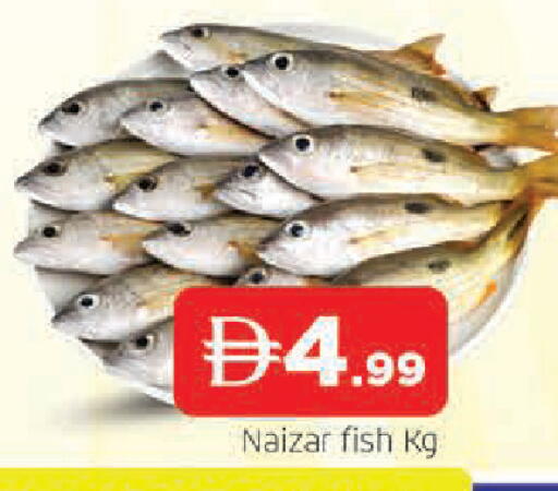 available at AL MADINA in UAE - Sharjah / Ajman