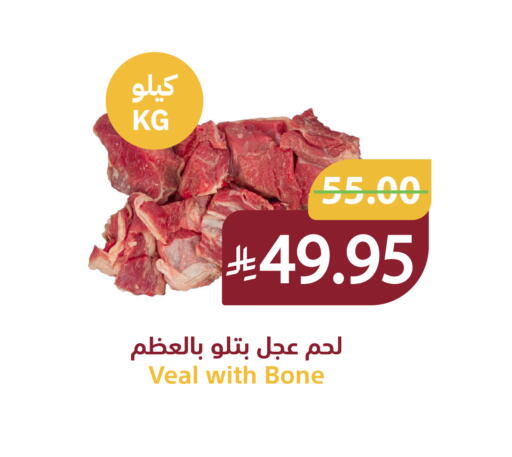 available at أسواق قاطبة in مملكة العربية السعودية, السعودية, سعودية - بريدة