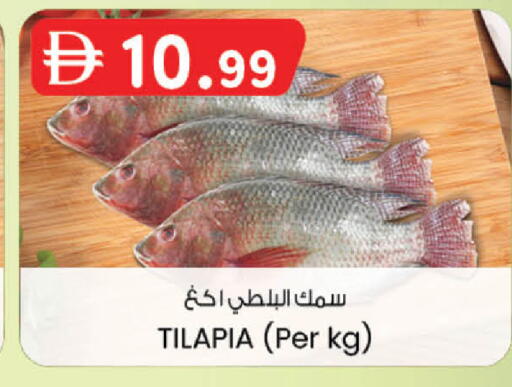 available at صفا اكسبريس سوبرماركت in الإمارات العربية المتحدة , الامارات - ٱلْعَيْن‎
