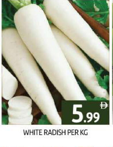 Radish available at BIGmart in UAE - Dubai