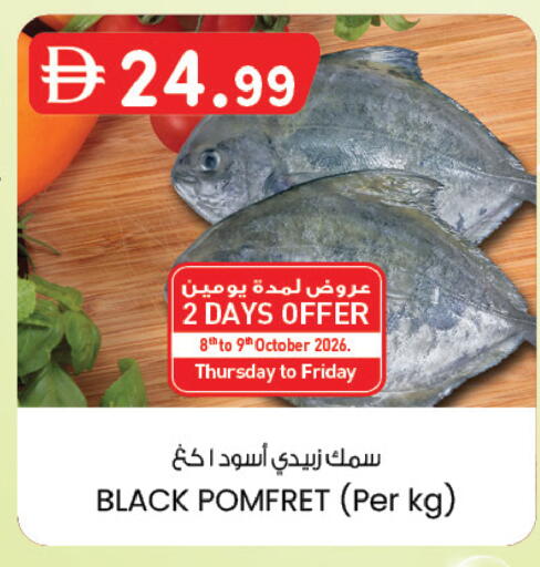 available at ك. الم. للتجارة in الإمارات العربية المتحدة , الامارات - ٱلْفُجَيْرَة‎
