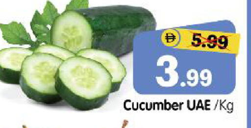 Cucumber available at هايبر ماركت المدينة in الإمارات العربية المتحدة , الامارات - أبو ظبي