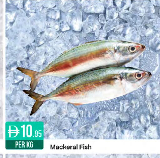 available at West Zone Supermarket in UAE - Sharjah / Ajman