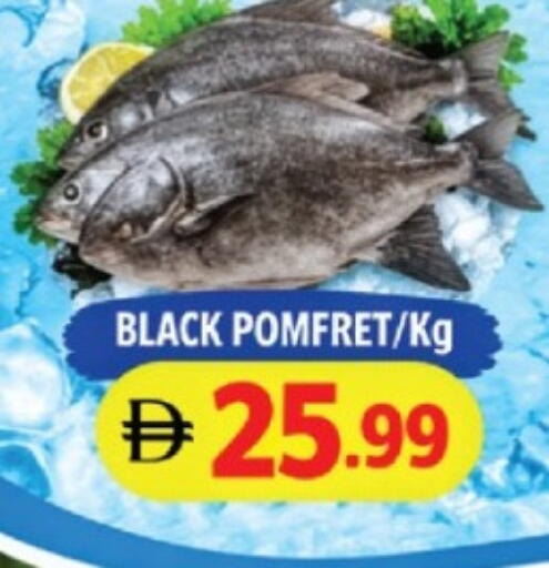 available at AL MADINA in UAE - Sharjah / Ajman