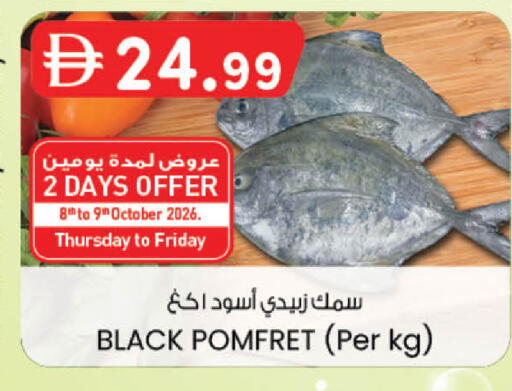 available at الصفا in الإمارات العربية المتحدة , الامارات - ٱلْعَيْن‎