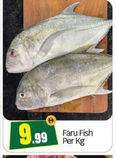 available at BIGmart in UAE - Abu Dhabi
