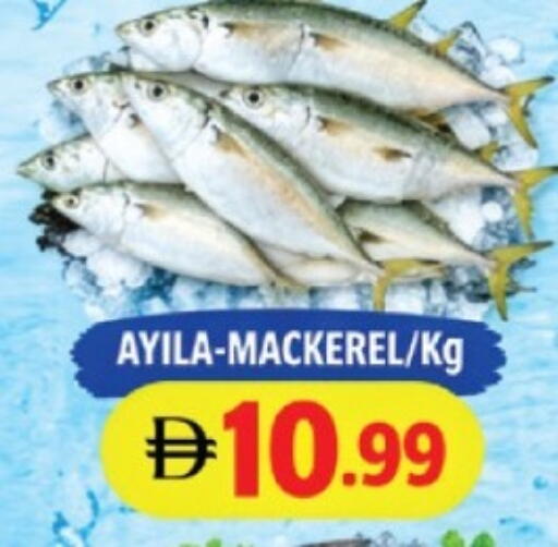 available at AL MADINA in UAE - Sharjah / Ajman