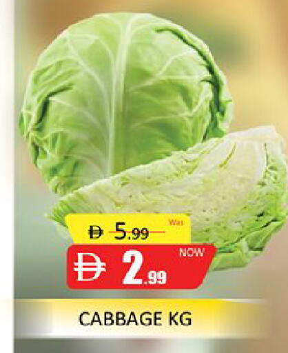 Cabbage available at المدينة in الإمارات العربية المتحدة , الامارات - دبي
