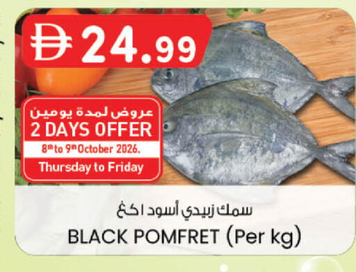 available at صفا اكسبريس سوبرماركت in الإمارات العربية المتحدة , الامارات - ٱلْعَيْن‎