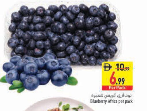 Blueberry BlueBerry available at Safeer Market in UAE - Abu Dhabi