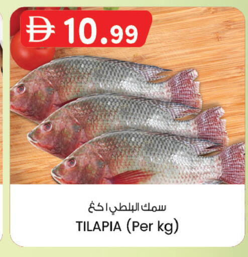 available at ك. الم. للتجارة in الإمارات العربية المتحدة , الامارات - ٱلْفُجَيْرَة‎