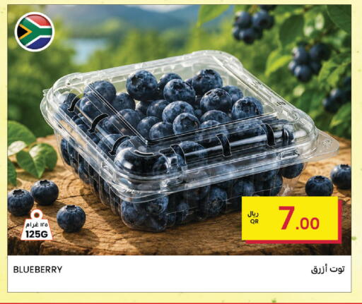 Blueberry BlueBerry available at البلدي اليوم in قطر - الوكرة