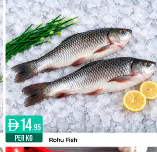 available at ويست زون سوبرماركت in الإمارات العربية المتحدة , الامارات - دبي