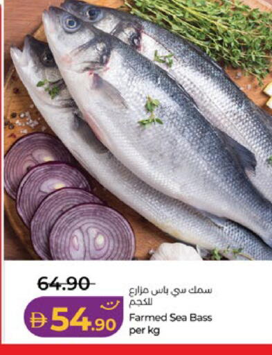 available at لولو هايبرماركت in الإمارات العربية المتحدة , الامارات - ٱلْعَيْن‎
