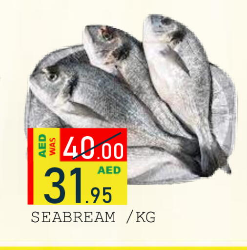 available at رويال جلف هايبرماركت in الإمارات العربية المتحدة , الامارات - أبو ظبي