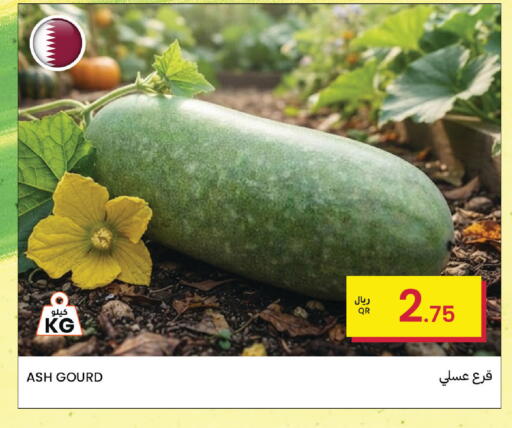 available at البلدي اليوم in قطر - الوكرة