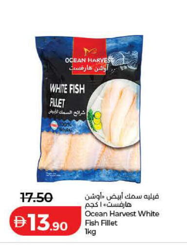 available at لولو هايبرماركت in الإمارات العربية المتحدة , الامارات - ٱلْفُجَيْرَة‎