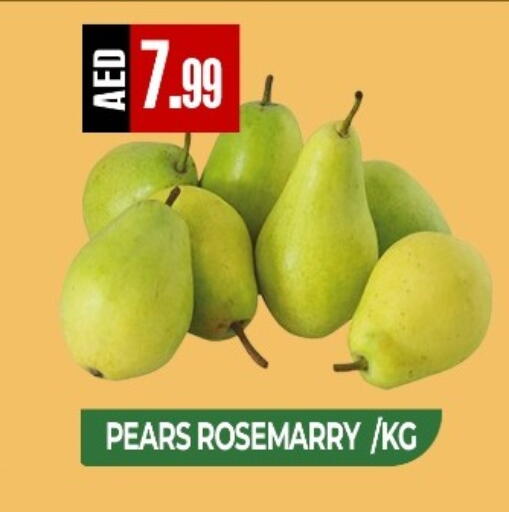 available at ريفييرا سوبرماركت in الإمارات العربية المتحدة , الامارات - أبو ظبي