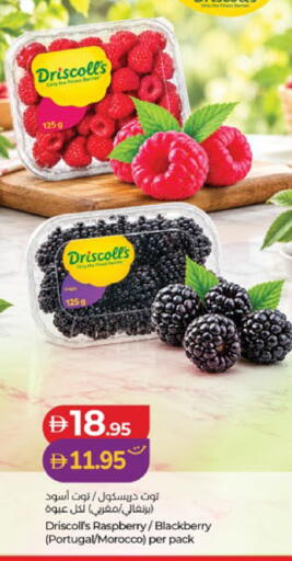 Raspberry Blackberry from Portugal Morocco available at لولو هايبرماركت in الإمارات العربية المتحدة , الامارات - ٱلْعَيْن‎