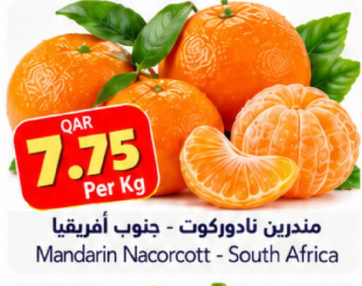 Mandarin from South Africa available at Gulf Food Center in Qatar - Doha