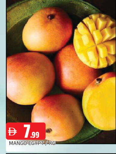 Mango from Egypt available at AL MADINA in UAE - Sharjah / Ajman