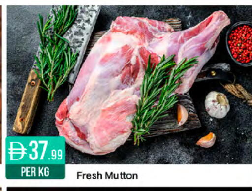 available at West Zone Supermarket in UAE - Sharjah / Ajman
