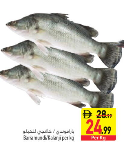 available at السفير ماركت in الإمارات العربية المتحدة , الامارات - الشارقة / عجمان