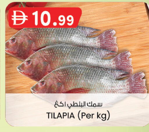 available at صفا هايبر in الإمارات العربية المتحدة , الامارات - ٱلْعَيْن‎