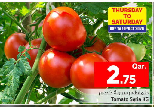 Tomato from Syria available at مارك & سيف in قطر - الدوحة