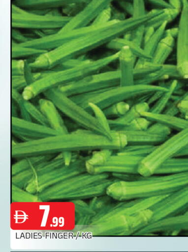 available at AL MADINA in UAE - Sharjah / Ajman