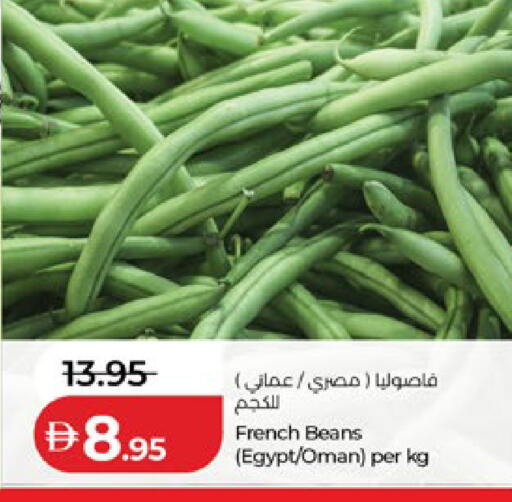 from France Egypt Oman available at لولو هايبرماركت in الإمارات العربية المتحدة , الامارات - ٱلْعَيْن‎