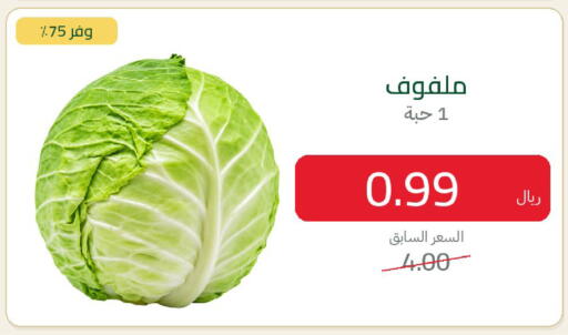 available at المتسوق الذكى in مملكة العربية السعودية, السعودية, سعودية - أبها
