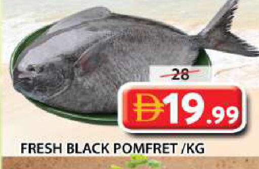 available at Grand Hyper Market in UAE - Sharjah / Ajman