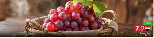 Grapes from Egypt available at مركز التموين العائلي in قطر - الوكرة