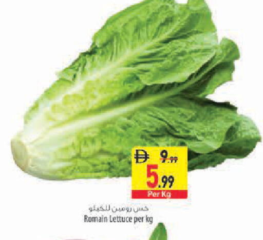 Lettuce available at Safeer Market in UAE - Abu Dhabi