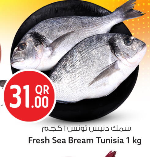 available at سفاري هايبر ماركت in قطر - الخور