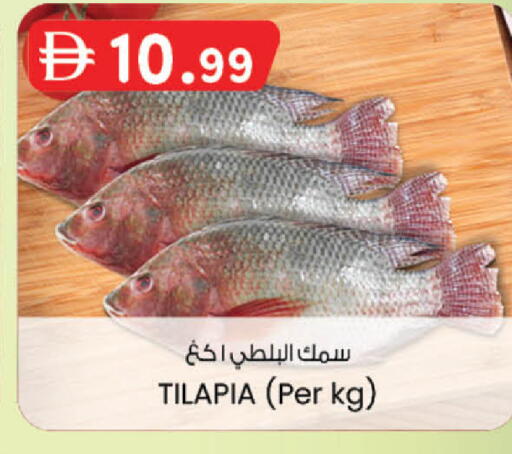 available at ك. إم. هايبرماركت in الإمارات العربية المتحدة , الامارات - ٱلْعَيْن‎