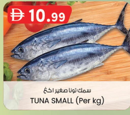 available at ك. إم. هايبرماركت in الإمارات العربية المتحدة , الامارات - ٱلْعَيْن‎