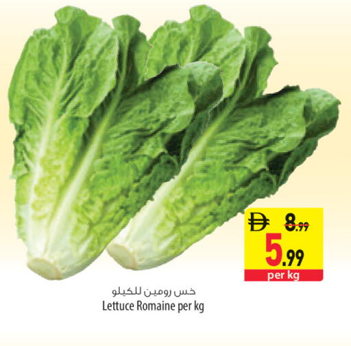 Lettuce available at السفير ماركت in الإمارات العربية المتحدة , الامارات - ٱلْعَيْن‎