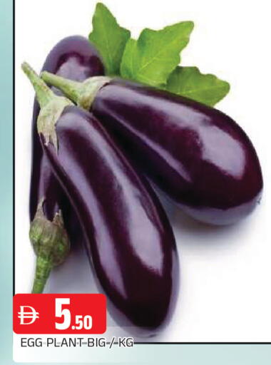 available at AL MADINA in UAE - Sharjah / Ajman