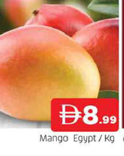 Mango from Egypt available at المدينة in الإمارات العربية المتحدة , الامارات - الشارقة / عجمان